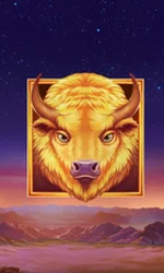 Buffalo's Sun 2